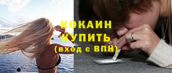 прущие грибы Покровск