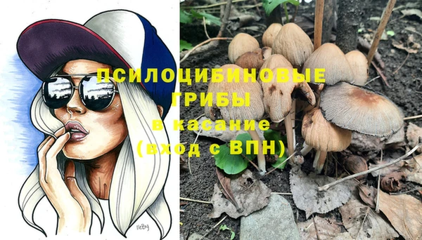 бутират Ветлуга