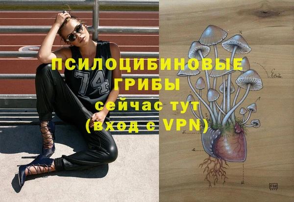 хмурый Видное