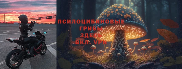 экстази Весьегонск